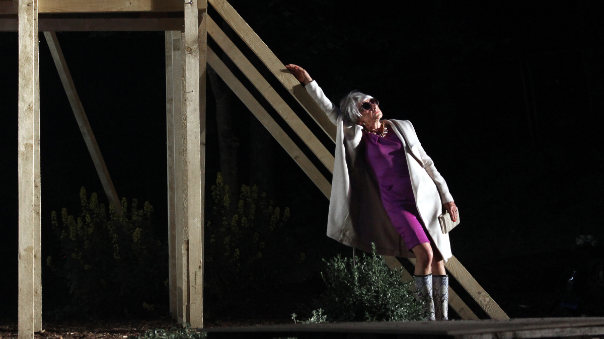 Der Besuch der alten Dame